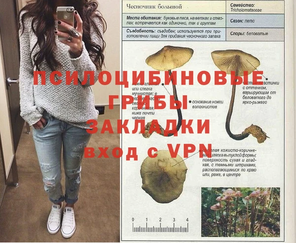 a pvp Лагань