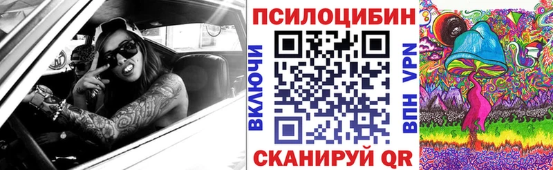 Псилоцибиновые грибы Psilocybe Томилино
